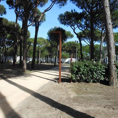 לידו די ג'סולו Albatross Mobile Homes On Camping Waikiki מראה חיצוני תמונה